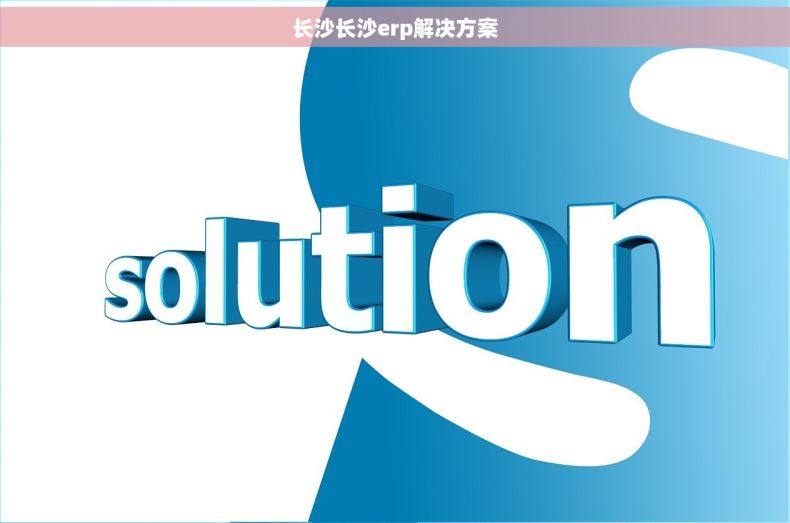 长沙长沙erp解决方案