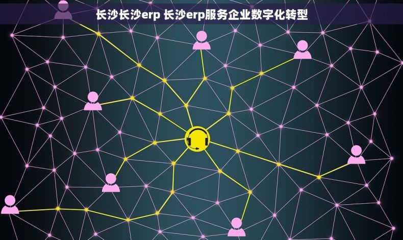 长沙长沙erp 长沙erp服务企业数字化转型