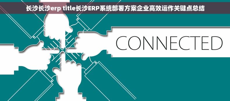 长沙长沙erp title长沙ERP系统部署方案企业高效运作关键点总结
