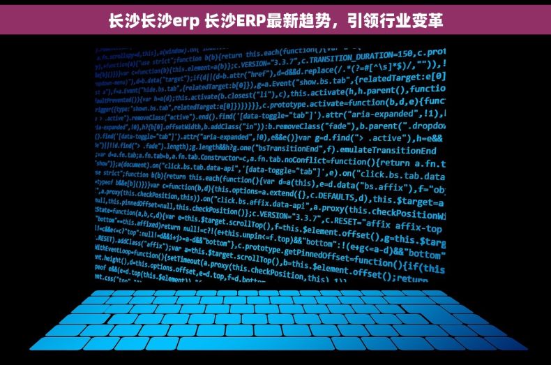 长沙长沙erp 长沙ERP最新趋势，引领行业变革