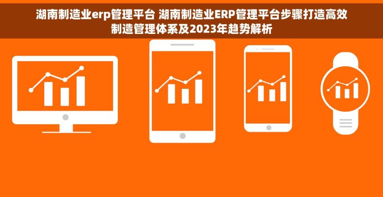 湖南制造业erp管理平台 湖南制造业ERP管理平台步骤打造高效制造管理体系及2023年趋势解析