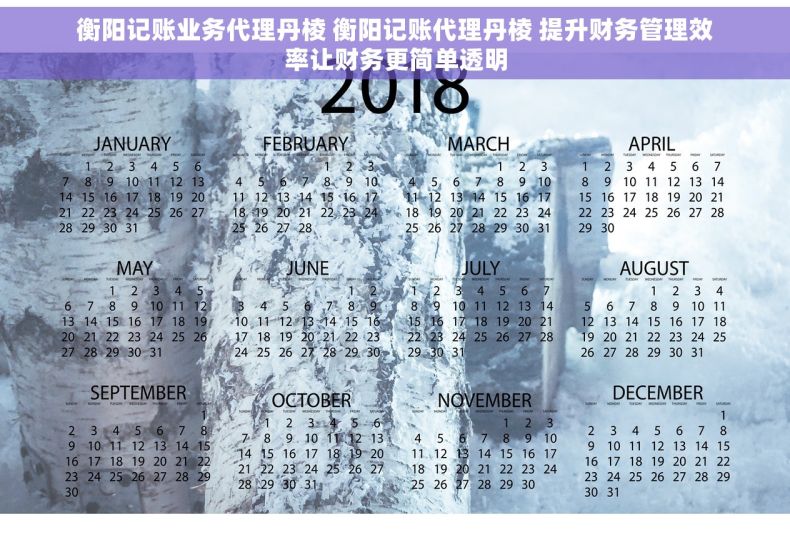 衡阳记账业务代理丹棱 衡阳记账代理丹棱 提升财务管理效率让财务更简单透明