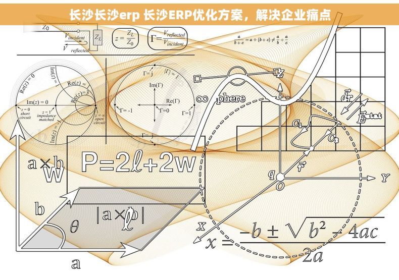 长沙长沙erp 长沙ERP优化方案，解决企业痛点