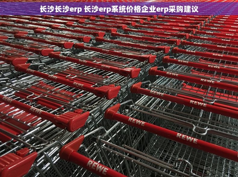长沙长沙erp 长沙erp系统价格企业erp采购建议