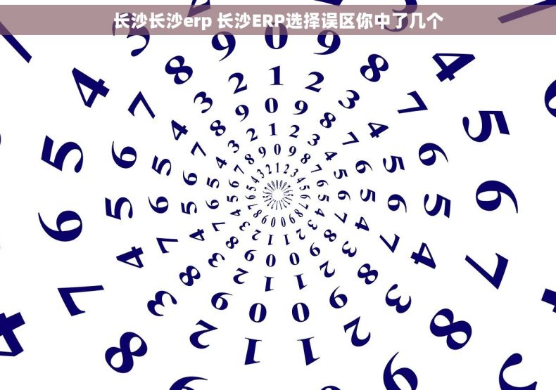 长沙长沙erp 长沙ERP选择误区你中了几个