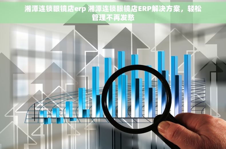 湘潭连锁眼镜店erp 湘潭连锁眼镜店ERP解决方案，轻松管理不再发愁