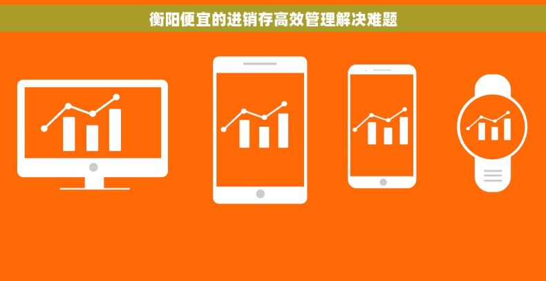 衡阳便宜的进销存高效管理解决难题