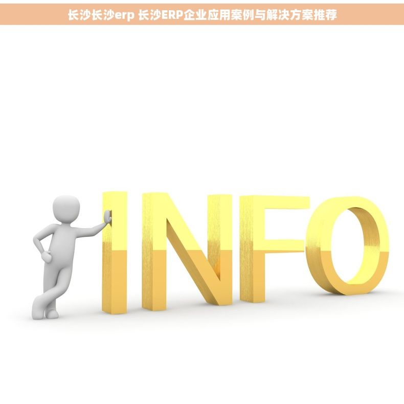 长沙长沙erp 长沙ERP企业应用案例与解决方案推荐