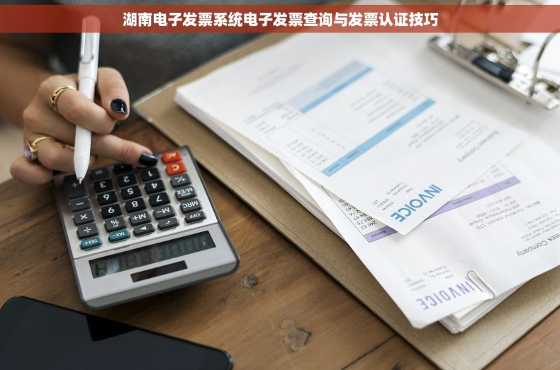 湖南电子发票系统电子发票查询与发票认证技巧