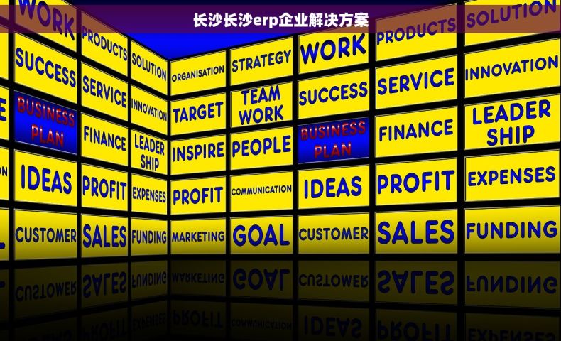 长沙长沙erp企业解决方案