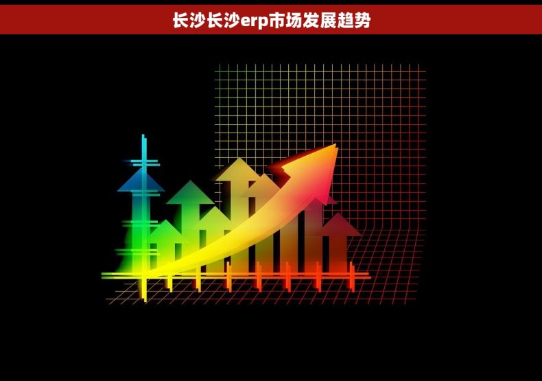 长沙长沙erp市场发展趋势