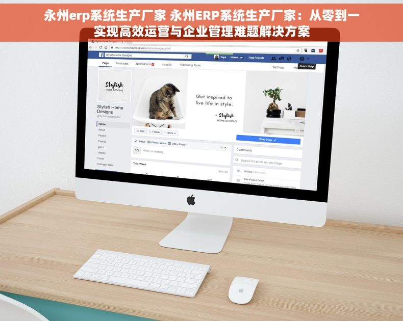 永州erp系统生产厂家 永州ERP系统生产厂家：从零到一实现高效运营与企业管理难题解决方案