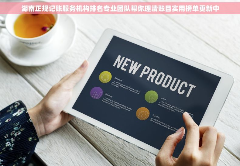 湖南正规记账服务机构排名专业团队帮你理清账目实用榜单更新中