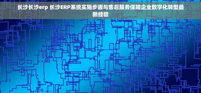 长沙长沙erp 长沙ERP系统实施步骤与售后服务保障企业数字化转型最新经验