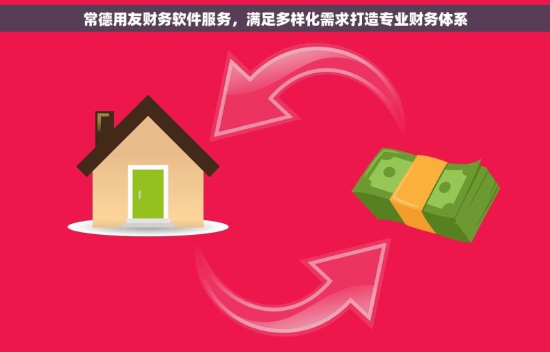 常德用友财务软件服务，满足多样化需求打造专业财务体系
