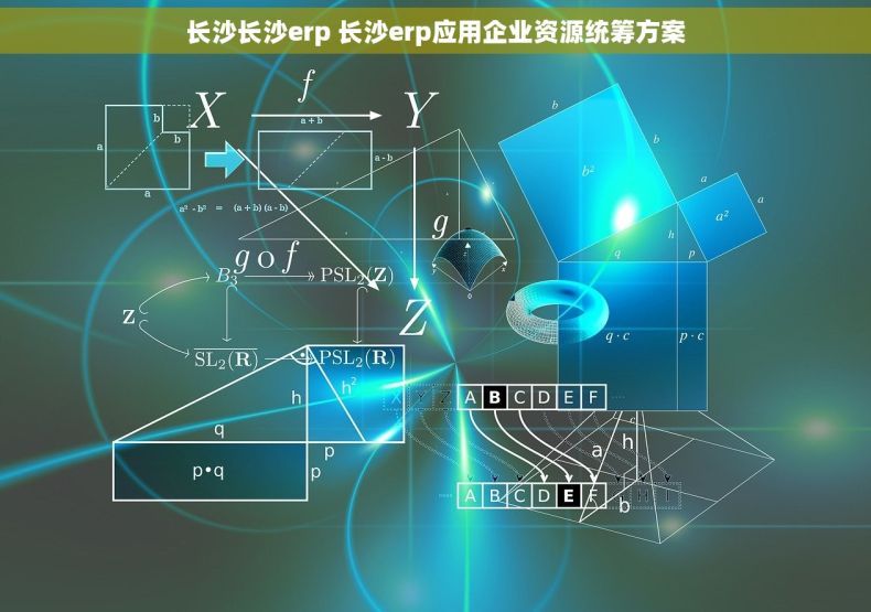 长沙长沙erp 长沙erp应用企业资源统筹方案