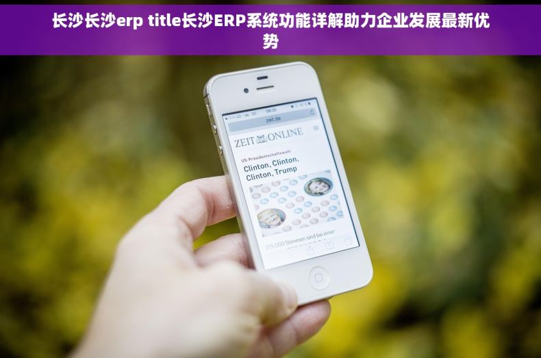 长沙长沙erp title长沙ERP系统功能详解助力企业发展最新优势