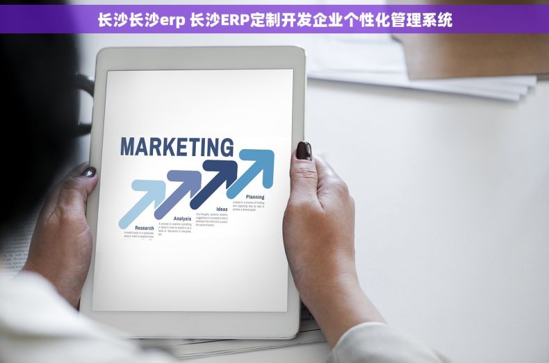 长沙长沙erp 长沙ERP定制开发企业个性化管理系统