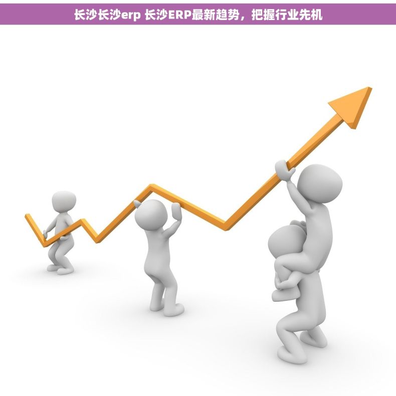 长沙长沙erp 长沙ERP最新趋势，把握行业先机