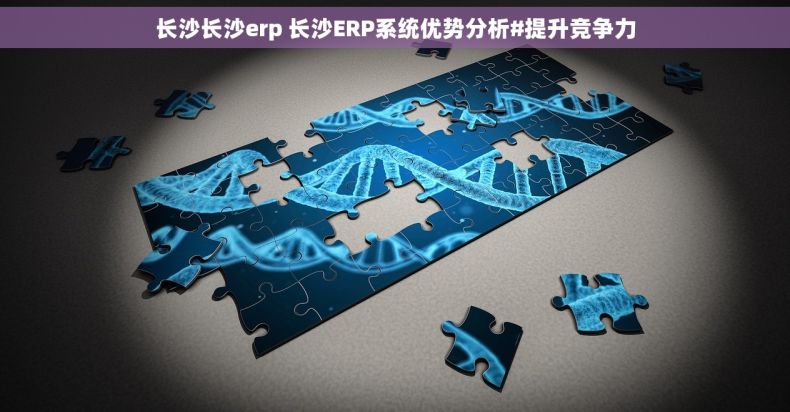 长沙长沙erp 长沙ERP系统优势分析#提升竞争力