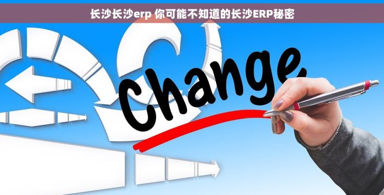 长沙长沙erp 你可能不知道的长沙ERP秘密