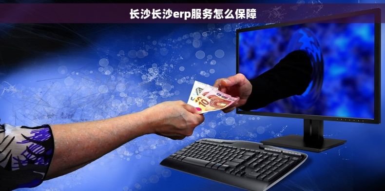 长沙长沙erp服务怎么保障
