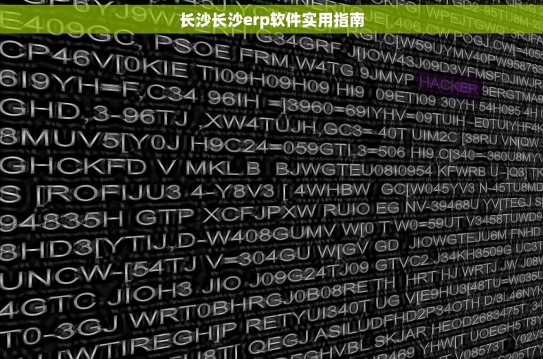 长沙长沙erp软件实用指南
