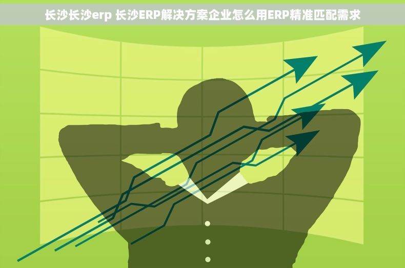 长沙长沙erp 长沙ERP解决方案企业怎么用ERP精准匹配需求