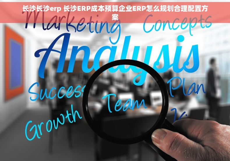 长沙长沙erp 长沙ERP成本预算企业ERP怎么规划合理配置方案