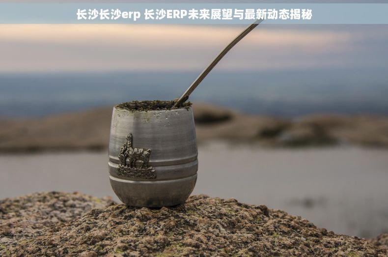 长沙长沙erp 长沙ERP未来展望与最新动态揭秘