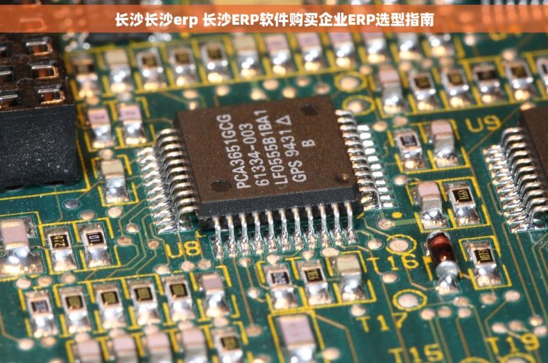 长沙长沙erp 长沙ERP软件购买企业ERP选型指南