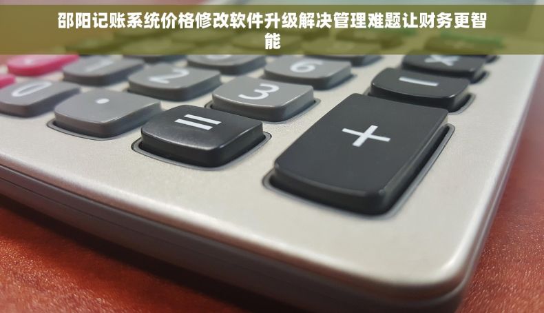 邵阳记账系统价格修改软件升级解决管理难题让财务更智能