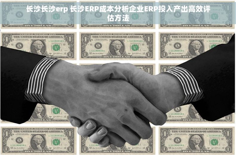 长沙长沙erp 长沙ERP成本分析企业ERP投入产出高效评估方法