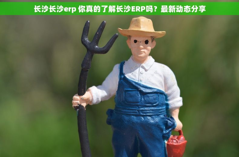 长沙长沙erp 你真的了解长沙ERP吗？最新动态分享