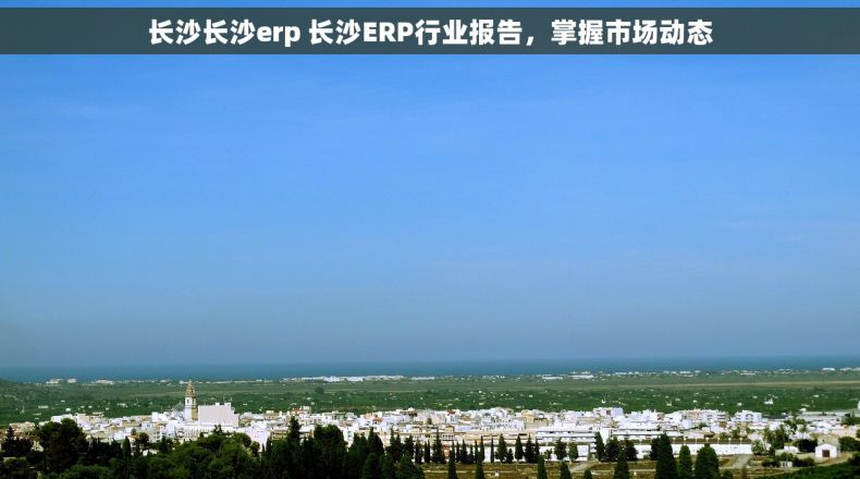 长沙长沙erp 长沙ERP行业报告，掌握市场动态