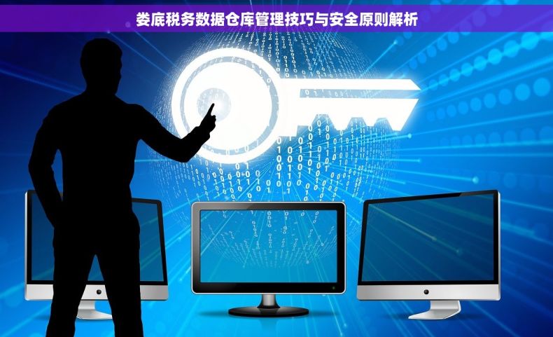 娄底税务数据仓库管理技巧与安全原则解析