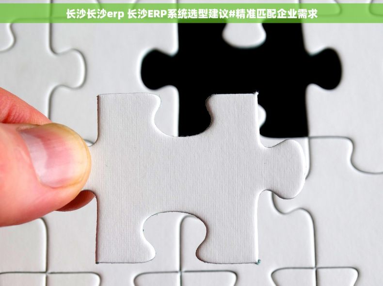 长沙长沙erp 长沙ERP系统选型建议#精准匹配企业需求