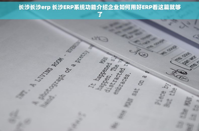 长沙长沙erp 长沙ERP系统功能介绍企业如何用好ERP看这篇就够了