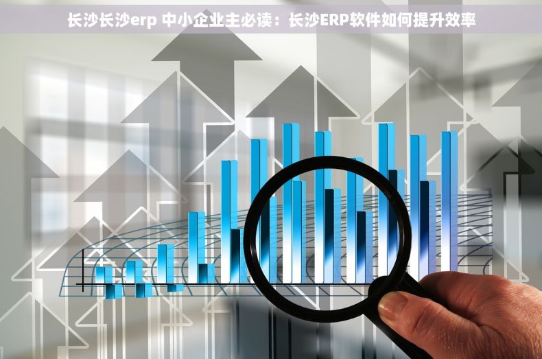 长沙长沙erp 中小企业主必读：长沙ERP软件如何提升效率