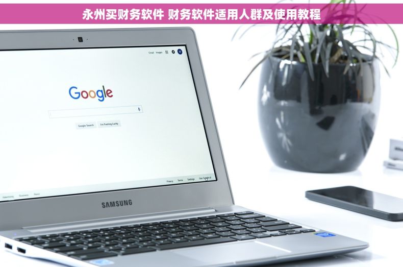 永州买财务软件 财务软件适用人群及使用教程
