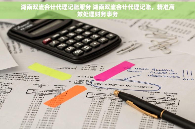 湖南双流会计代理记账服务 湖南双流会计代理记账，精准高效处理财务事务