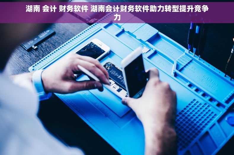 湖南 会计 财务软件 湖南会计财务软件助力转型提升竞争力