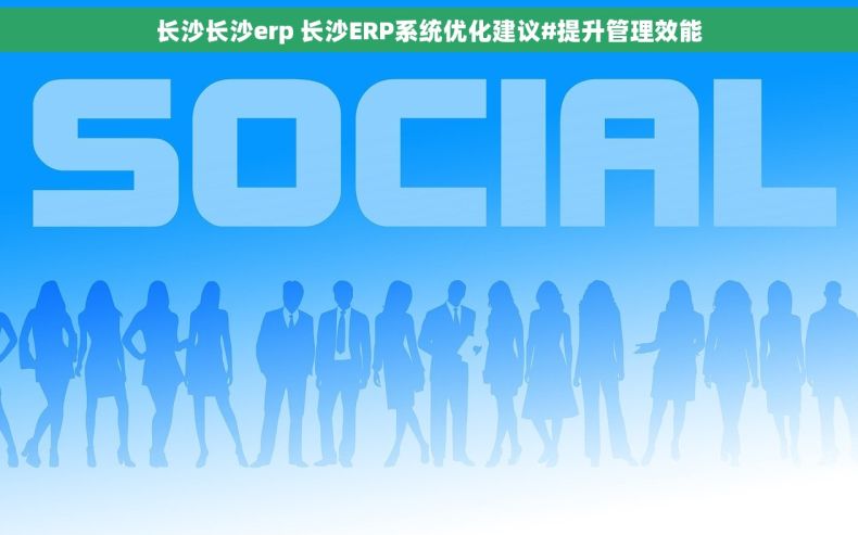 长沙长沙erp 长沙ERP系统优化建议#提升管理效能