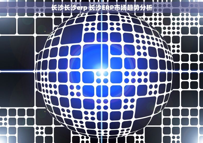 长沙长沙erp 长沙ERP市场趋势分析