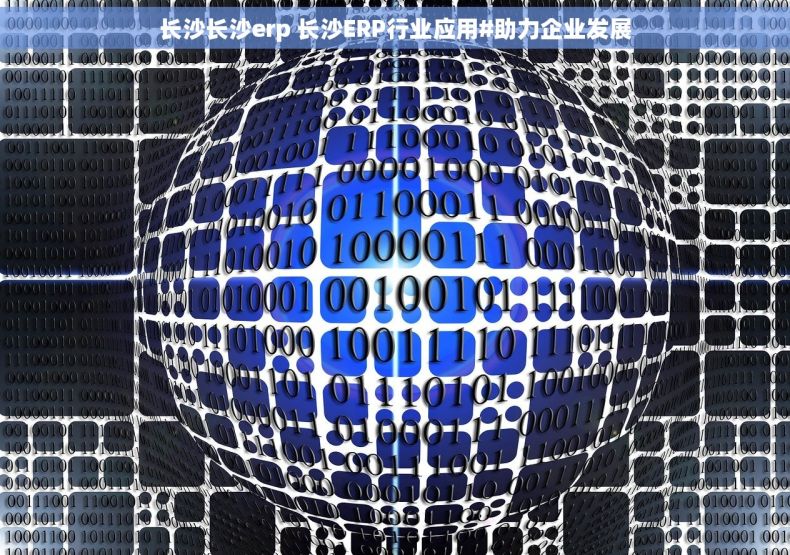 长沙长沙erp 长沙ERP行业应用#助力企业发展