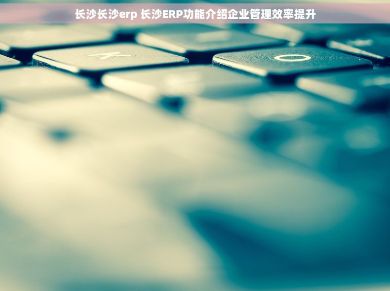 长沙长沙erp 长沙ERP功能介绍企业管理效率提升