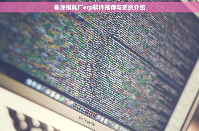株洲模具厂erp软件推荐与系统介绍