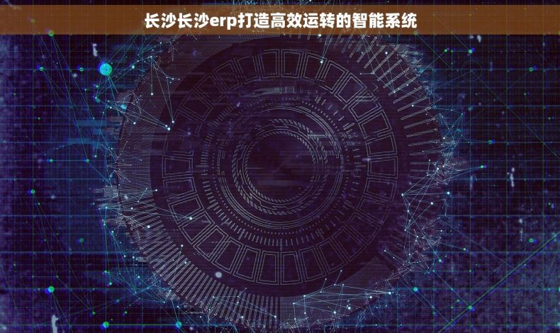 长沙长沙erp打造高效运转的智能系统