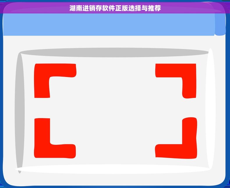 湖南进销存软件正版选择与推荐