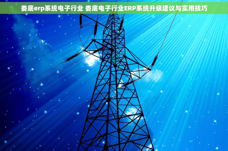 娄底erp系统电子行业 娄底电子行业ERP系统升级建议与实用技巧